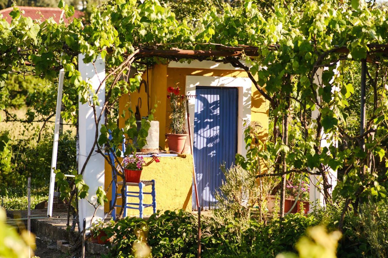 Villa Sandra Litheres Exteriör bild